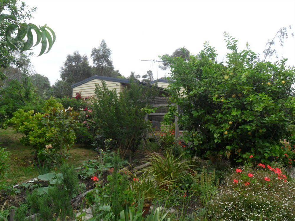 Australian Home Away @ Wonga Park Brushy Creek Exterior foto